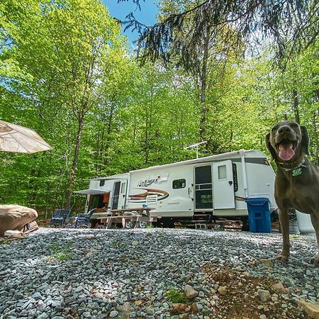 Rv Adventure Roscoe Pet Friendly Hotel Bagian luar foto