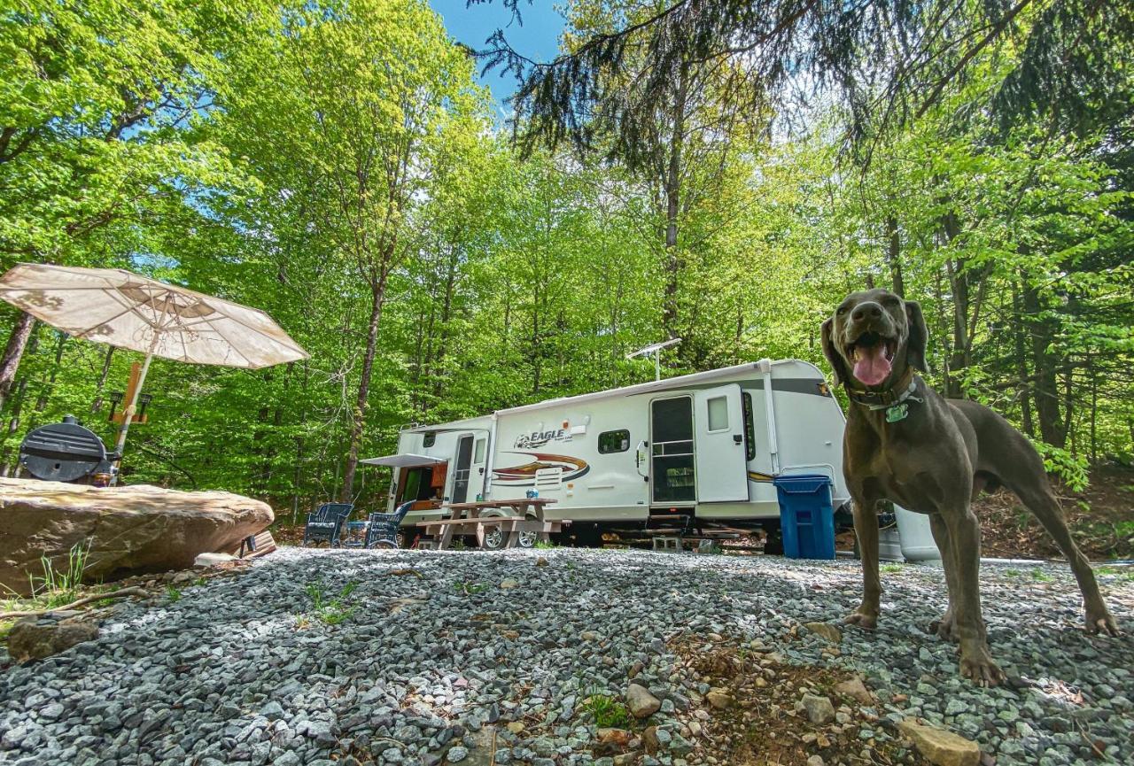 Rv Adventure Roscoe Pet Friendly Hotel Bagian luar foto